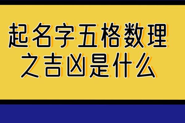 品牌查名字吉凶测试软件,品牌名查询吉凶