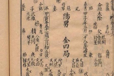 紫薇斗数书入门