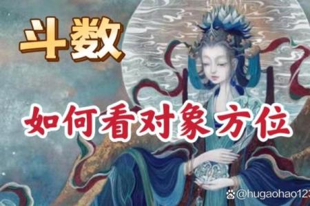 紫薇斗数视频合集