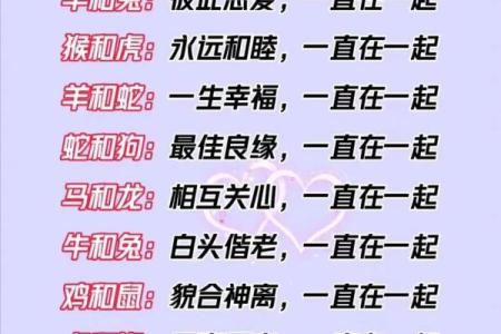 生肖预测，如何通过“去”字测试你的属相