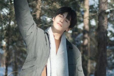 马天宇紫薇斗数