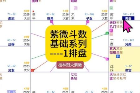 紫薇斗数星盘分析