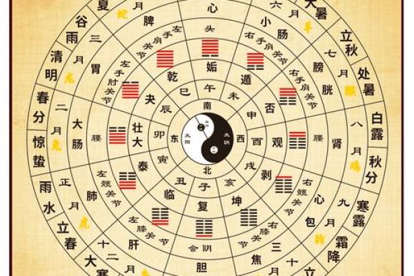 生辰八字八卦图