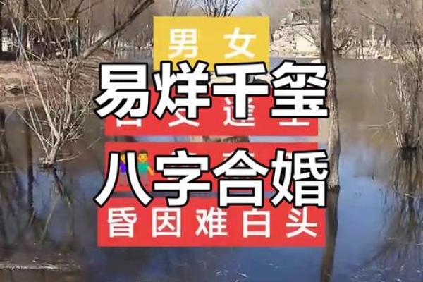 八字婚姻匹配