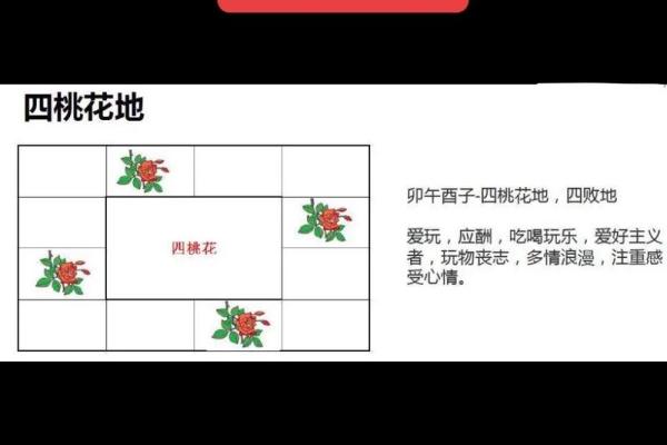 看紫薇斗数的步骤