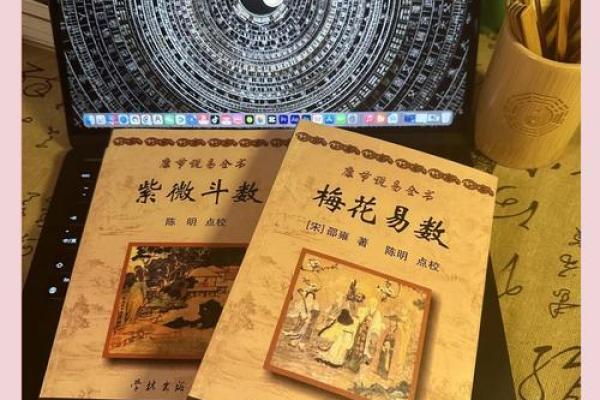 紫薇斗数和梅花易数哪个准