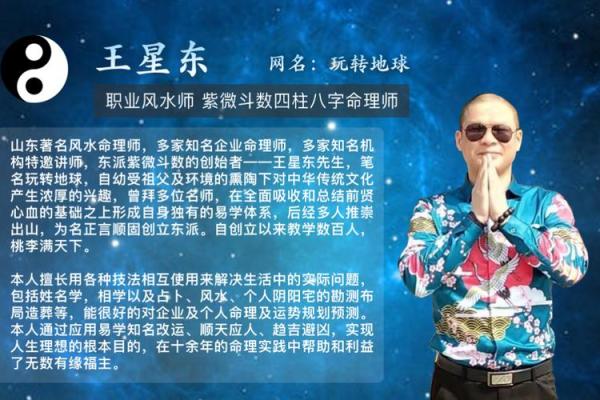 玩转地球紫薇斗数