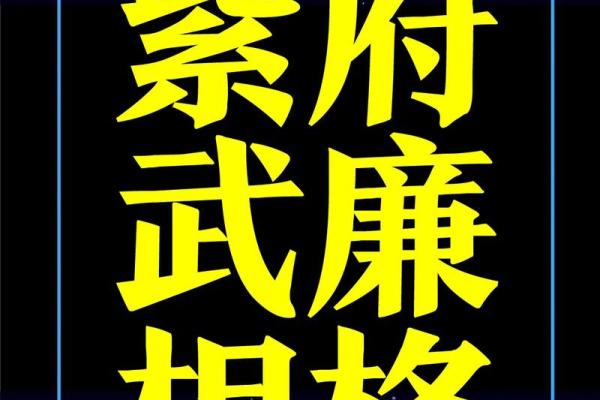 玩转地球紫薇斗数