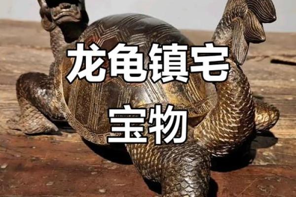 风水龙龟的摆放方法及禁忌用开光吗