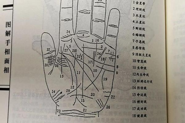 如何看手相算命看手相怎么看 如何看手相算命图片大全图解
