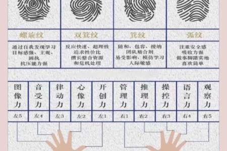 看指纹算命
