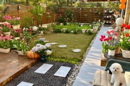 风水上一楼房子