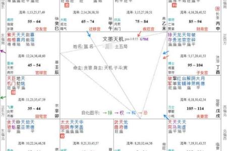 紫微斗数之生年干四化表象：子女宫四化入各宫表象