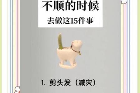 剪头发风水讲究，如何处理剪下的头发风水