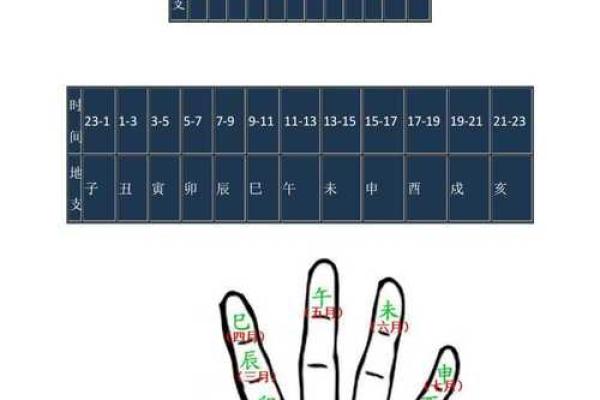 怎么学习紫薇斗数