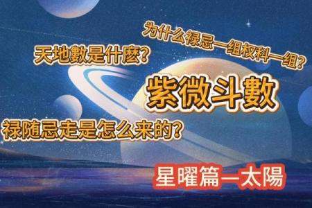 紫微斗数之各星曜所主行业：看合伙