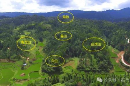 揭秘最好的风水墓地有哪些标准