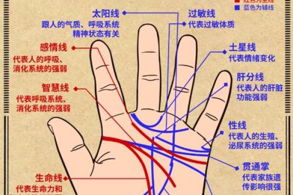 男士手相算命