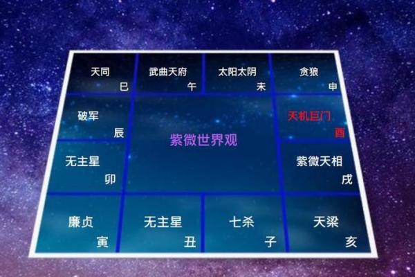 紫薇斗数是帝王学