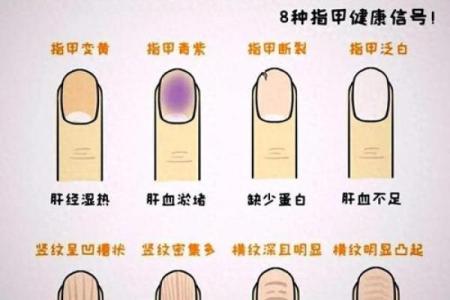 指甲 风水