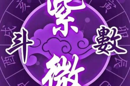 太乙神数紫薇斗数