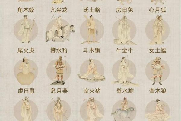 算命青龙什么意思 算命青龙什么意思