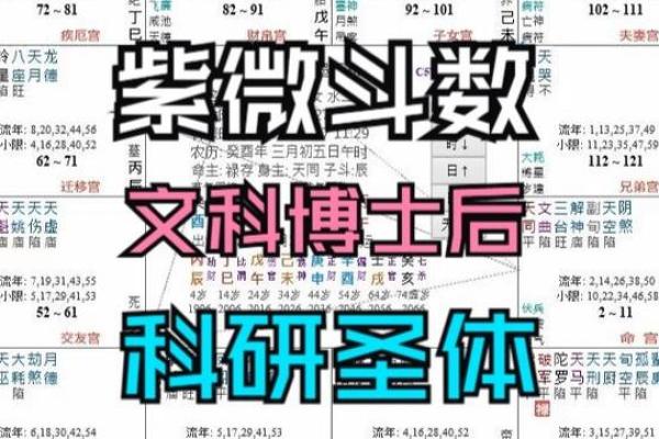 紫薇斗数断学历 紫薇斗数断学历