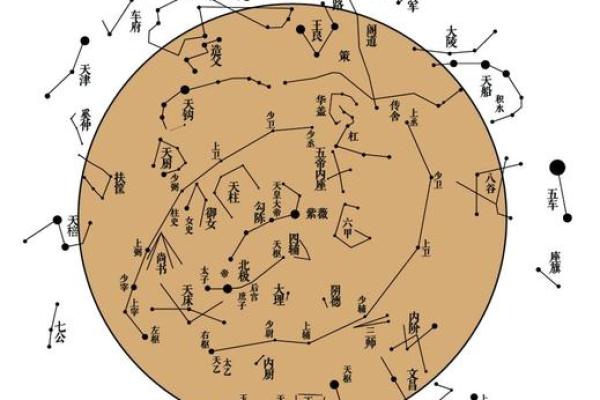 紫薇斗数空白 紫薇斗数空白