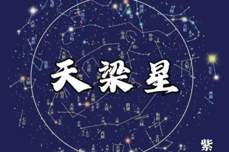 紫微斗数：天机星