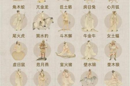 算命青龙什么意思