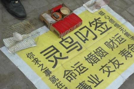 灵鸟叨签算命违法吗