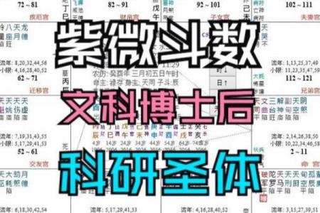 紫薇斗数断学历