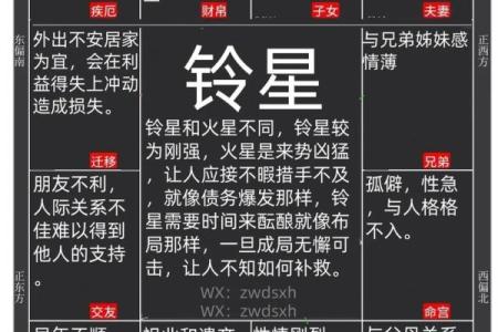 紫薇斗数怎么看主宫