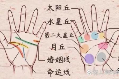 手相风水：爱情线怎么看有几段感情