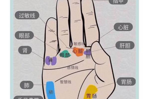 五角星手纹算命图解 五角星手纹手相