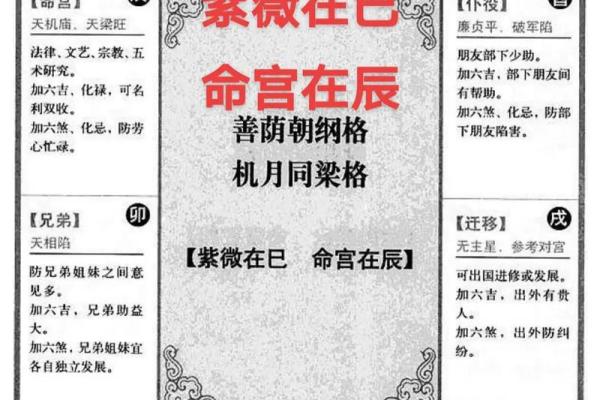 紫薇斗数pdf 紫薇斗数pdf