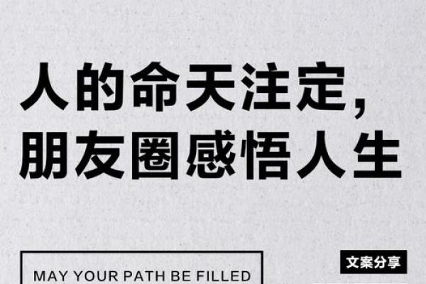 八字天注定，人生需冷静（四）