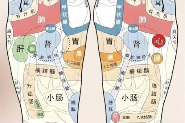 脚底的胎记算命分析 脚底的胎记算命分析