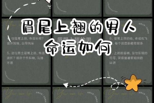 风水面相哪三种眉毛男人最好命