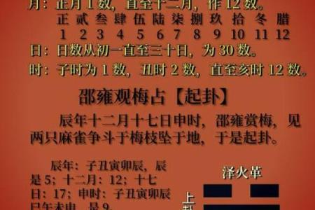 用梅花易数怎么算命