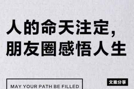 八字天注定，人生需冷静（四）