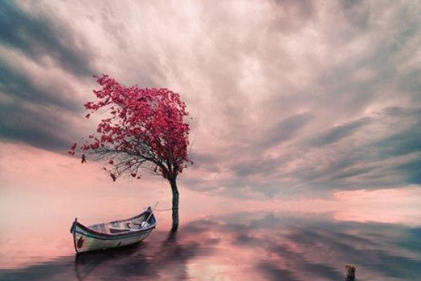 如何用梦见算八字分析人生状况？