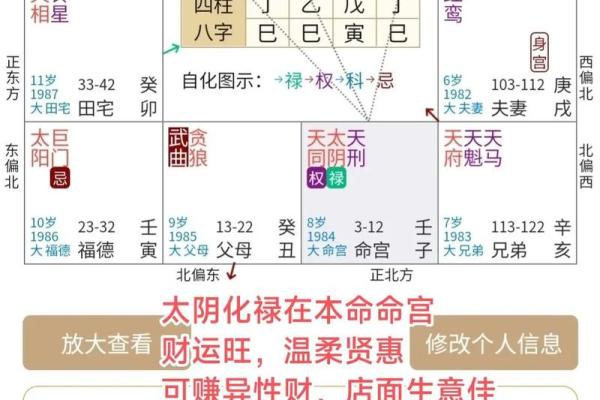 紫薇斗数怎么分析