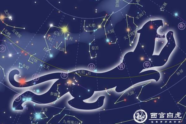 算命的说我是白虎女，克夫克子克自己——1