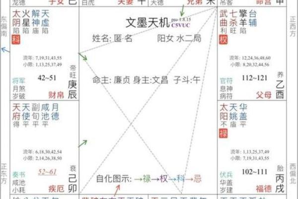 紫薇斗数天月星