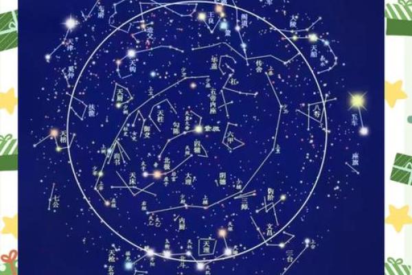 紫薇斗数天月星