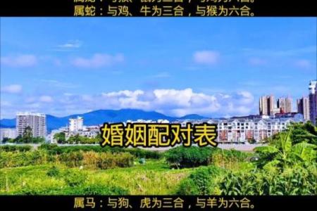 八字合婚：这样配对，很难幸福，离婚率高