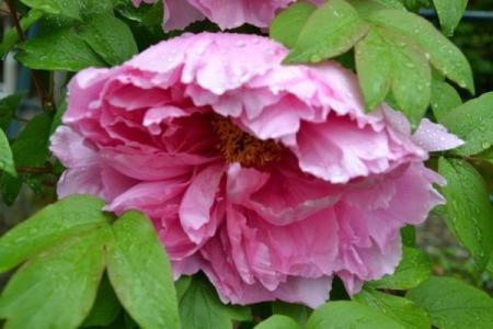 神准测试--最近三个月有无偏财大运？