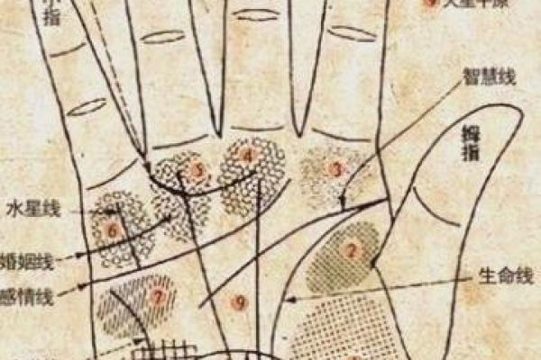 掌纹在线算命