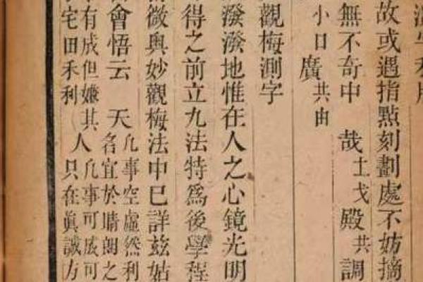 算命测字看什么书好 算命测字看什么书好